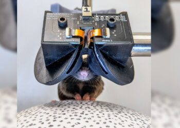 Researchers Develop a Miniature VR Headset for Enhanced Mouse Studies
